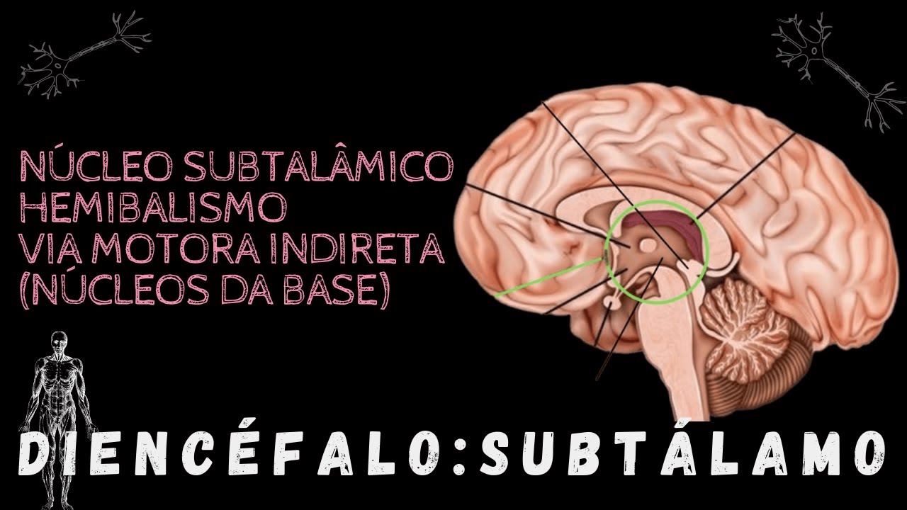 DIENCÉFALO: SUBTÁLAMO (Via indireta gânglios da base, hemibalismo)