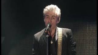 Ligabue - Un colpo all&#39;anima (live giro del mondo) - HQ