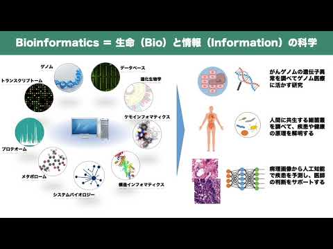 【医学部医学科】最先端の研究紹介１（バイオインフォマティクス）