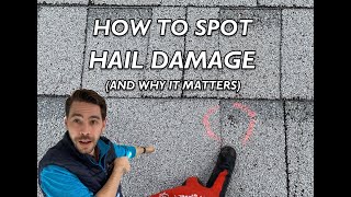 Spotting Hail Damage on your Roof (and how it affects roof performance)