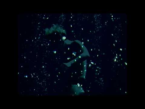 BLACK BUNNY (4K UPGRADE) / LOSALIOS