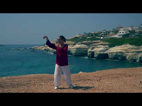 Review Modules 1 - 3 The Wave, Single Whip, Parting Horses mane - holding the crystal ball bonus.