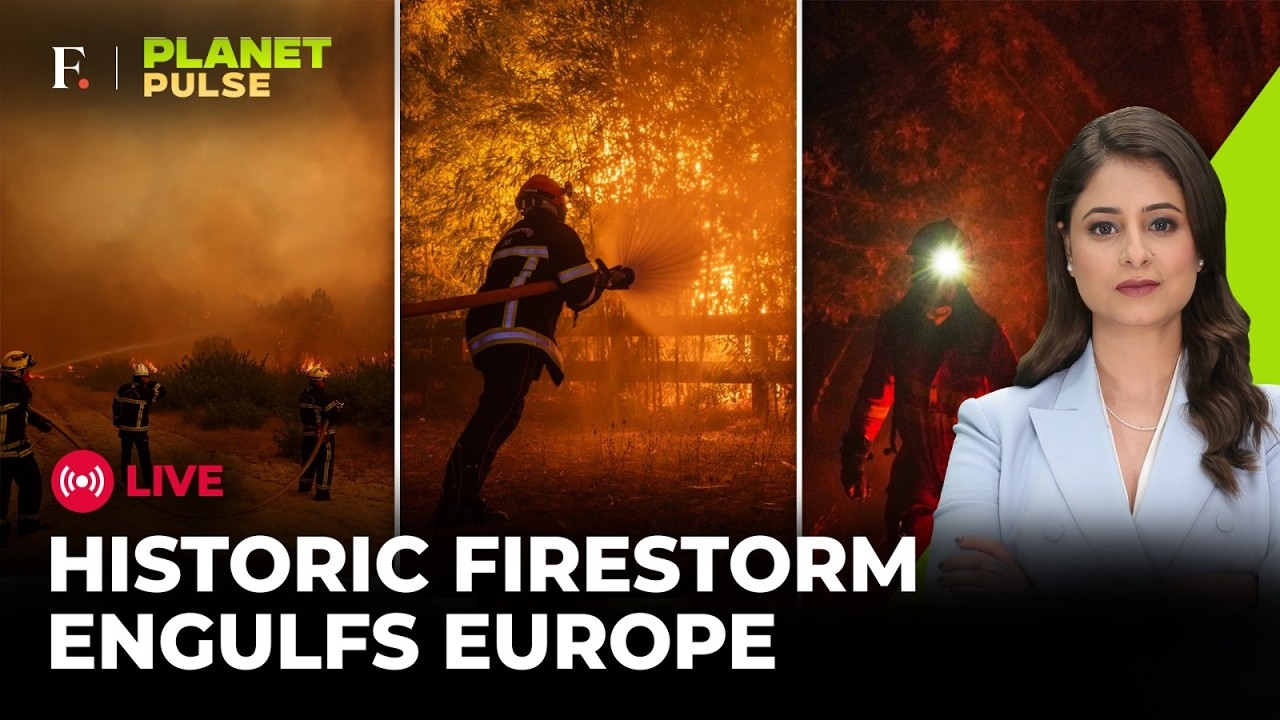 LIVE | Europe Wildfire Latest: Blazes Across Belgium, France, Spain | Planet Pulse | N18G