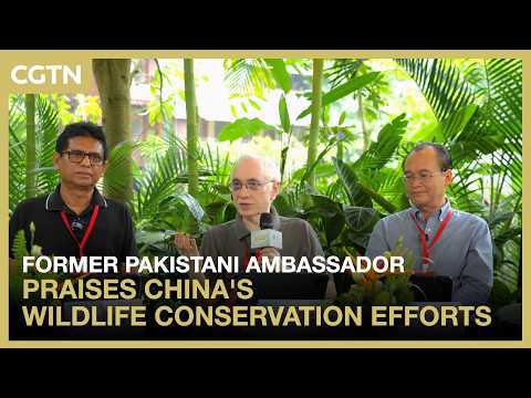 Former Pakistani ambassador praises China's wildlife conservation efforts