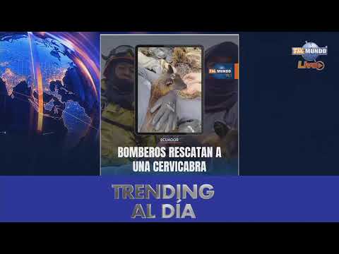 NotiMundo a la Carta