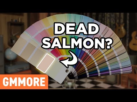 Can You Guess These Weird Paint Names? Video