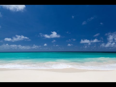 ⏮FourShow Tem Feitiço Canastra Tá Vir Com Cavalo - Chely News 🎧Non Copy Right🎶Electro & Chill Music‼