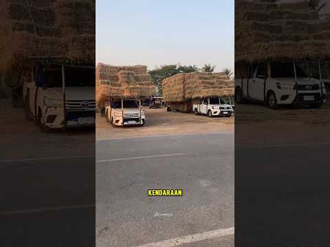 YouTube · Animoid — Di Indonesia, mobil 4x4 jadi simbol gaya, tapi di Thailand, ini jadi andalan untuk petualangan seru!...