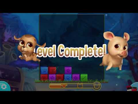 Pet Rescue Saga Level 2548 - 2562 🐶