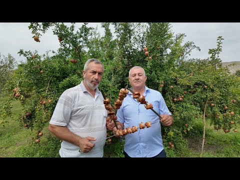 Lamb Roast & Turkey Kebab | Juicy Outdoor Cooking Recipe