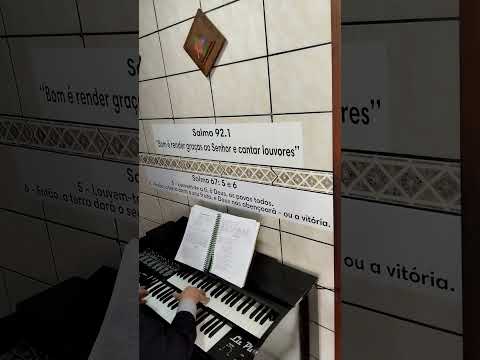 HINO 486 - VASOS TRANSBORDANTES