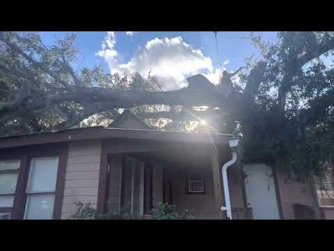 Life's Tree Doctor, LLC YouTube video thumbnail 15
