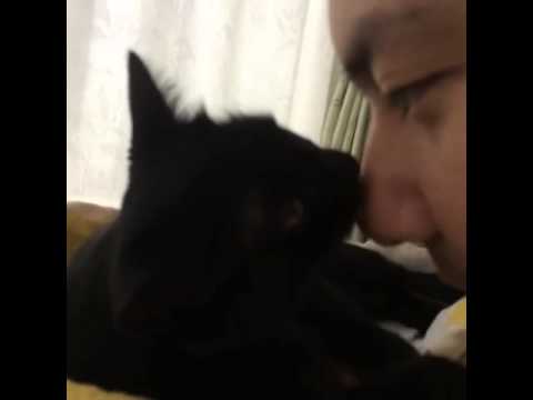 Cat will lick my nose 6 seconds.