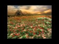 Matthew Ryan - The World Is... 