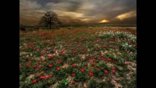 Matthew Ryan - The World Is...