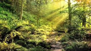 Oh, What a Beautiful Morning