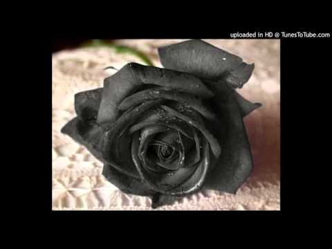 Today's Tango Is... Flores Negras - Osvaldo Fresedo 27-06-1960