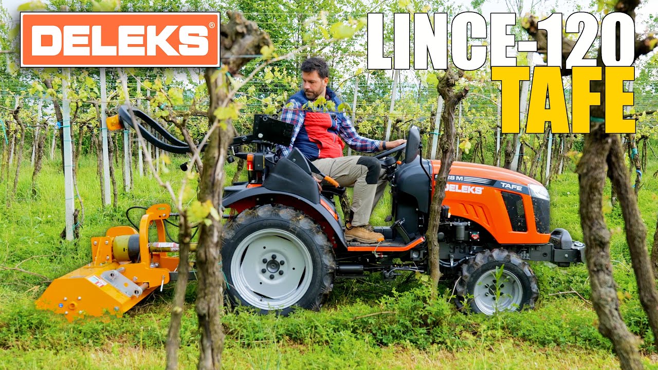 Essai sur le terrain