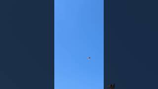 【関東の天気】令和8年10月8日(木) #今日のお天気 #青空 #秋晴れ #神無月