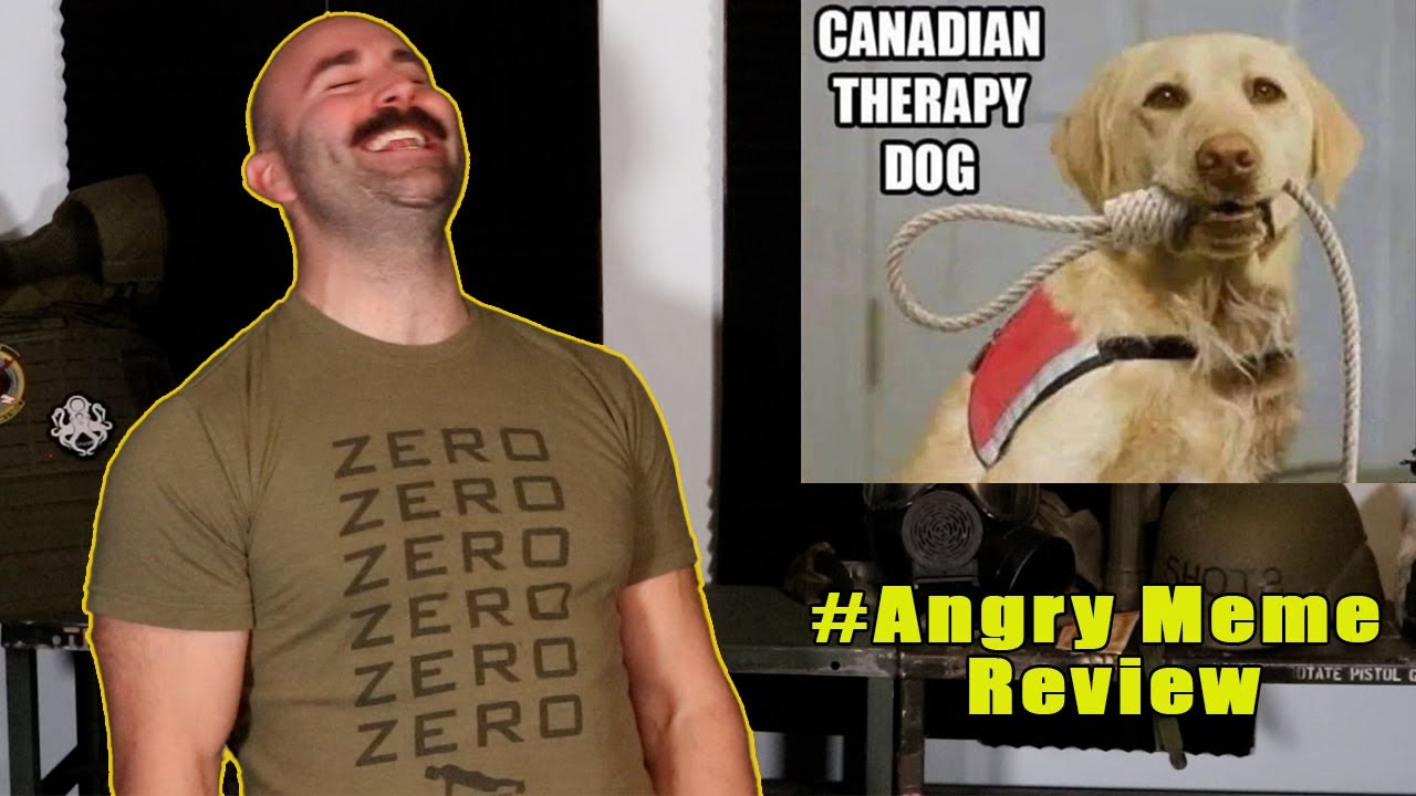 What the Dog doin? - Angry Meme Review