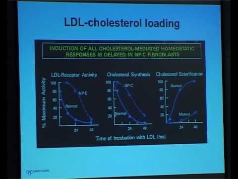 Niemann-Pick typu C prof. Mark Patterson (5/11)