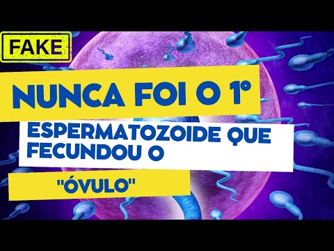 1ª semana do desenvolvimento embrionário!