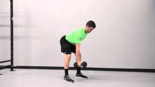 577. Single Arm Dumbbell Unsupported Bent Over Row