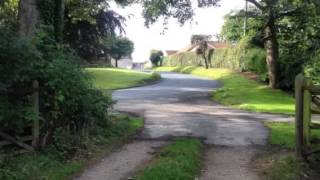 you Could Be Different