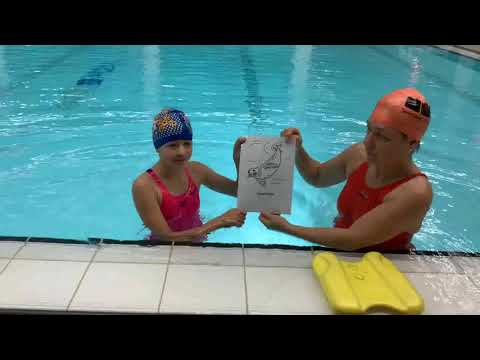 Schwimmen 2 - Methodische Reihe zum Rückenschwimmen