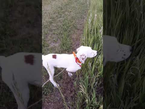 Snuck out without me.