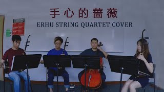 手心的蔷薇 Beautiful - 林俊杰 JJ Lin &amp; 邓紫棋 G.E.M  (Stringanza | Erhu String Quartet)