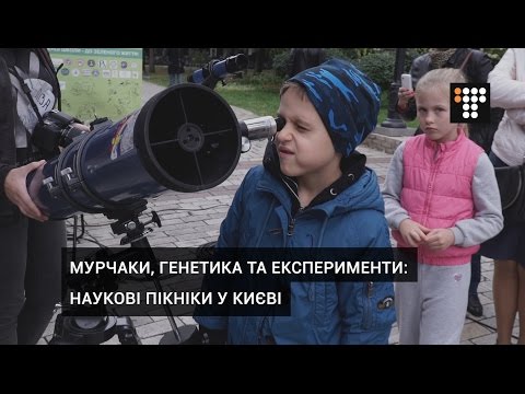 Прев'ю відео