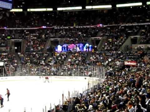 Florida Panthers goal and fight