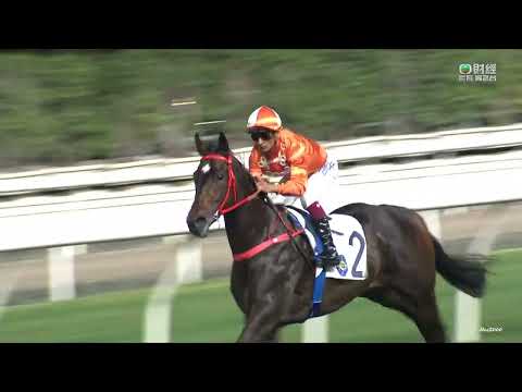 15/03/2023 (499) 嫡愛心 (H093) 田泰安