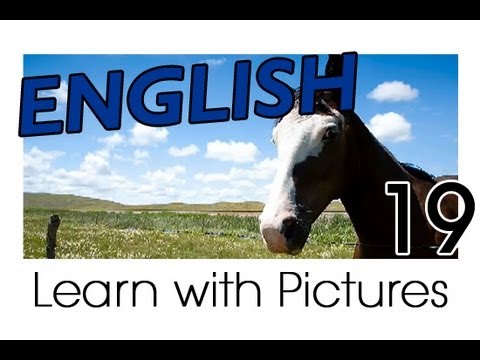 Learn English - English Farm Animals Vocabulary