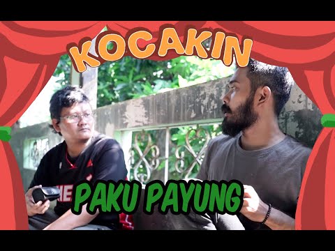 kocakin-paku-payung