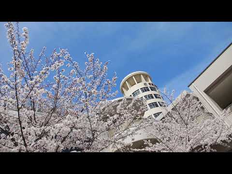 日本文化学科 TEZUKAYAMAUNIVERSITY Live Stream