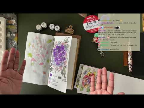 Painting with Fountain Pen Inks 🌸 Jan 28 Livestream Replay