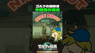ゴルフの謎解き 一般人とアホの違い【ゼルダの伝説 ティアキン】