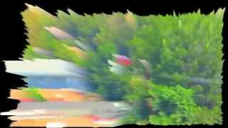 Stay a Little Longer - Nite Jewel