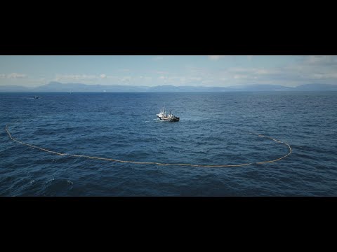 Una vuelta a la redonda | Arguineguín y su vida costera