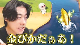 金ぴかのレア魚を釣ってテンアゲ！…＃25【あつまれ どうぶつの森】