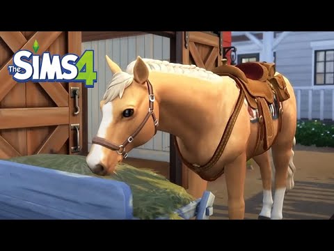 CRIAÇÃO DE CAVALOS NO THE SIMS 4 - Preciso de uma ESPOSA  -  Fui paquerar - Tomando as Rédeas - 05