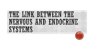Anatomy & Physiology - The Link Between the Nervous and Endocrine Systems