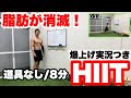 【脂肪燃えすぎ注意!!】8種目8分間の脂肪が燃えまくるHIITトレーニング!自宅で、道具なしでできる筋トレ!!