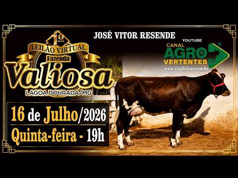 1º LEILÃO VIRTUAL FAZENDA VALIOSA - JOSÉ VITOR RESENDE - LAGOA DOURADA/MG - 16/07/2026