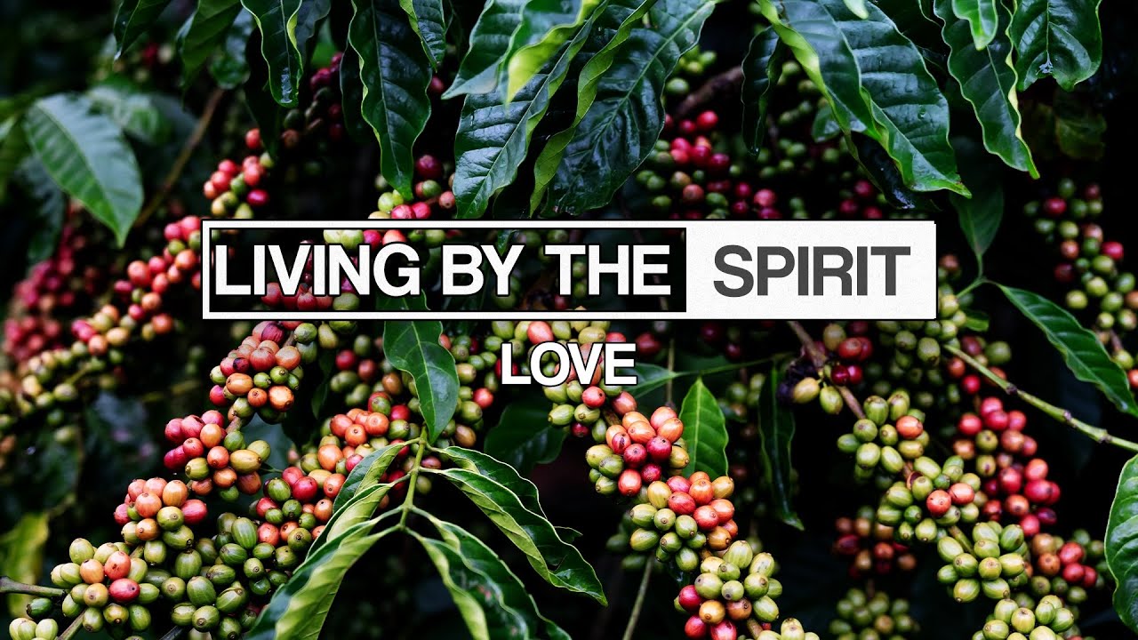 Love | Mike Brogen