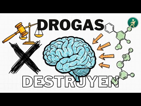 ASÍ DESTRUYEN tu CEREBRO 🧠 Las Drogas: Clasificación, Efectos y la Verdad Que Debes Saber.
