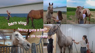 Bathing My Horse + Life Update | barn vlog 1