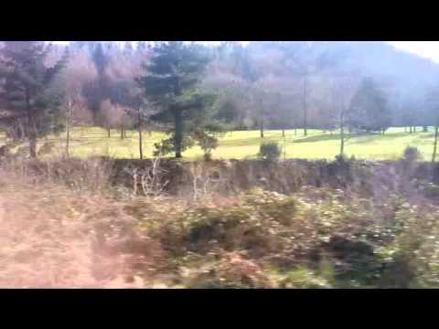 Andrius Pojavis. Traukiniai